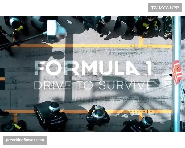 流媒体平台Netflix获得F1“Drive to Survive”系列纪录片未来五季独家版权